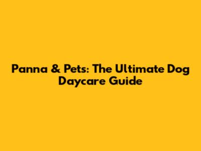 Panna & Pets: The Ultimate Dog Daycare Guide