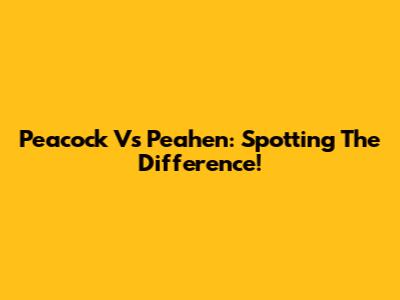 Peacock Vs Peahen: Spotting The Difference!