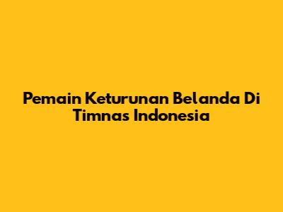 Pemain Keturunan Belanda Di Timnas Indonesia