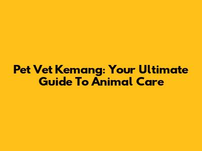 Pet Vet Kemang: Your Ultimate Guide To Animal Care