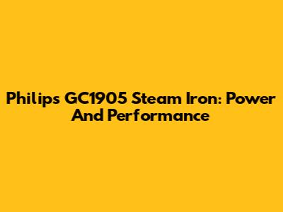 Philips GC1905 Steam Iron: Power And Performance