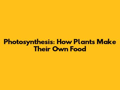 Photosynthesis: How Plants Make Their Own Food