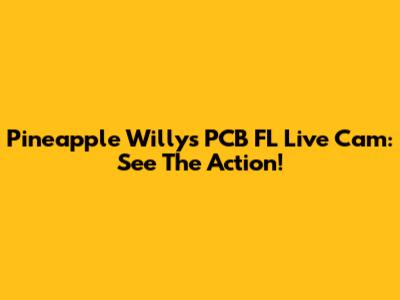 Pineapple Willy's PCB FL Live Cam: See The Action!