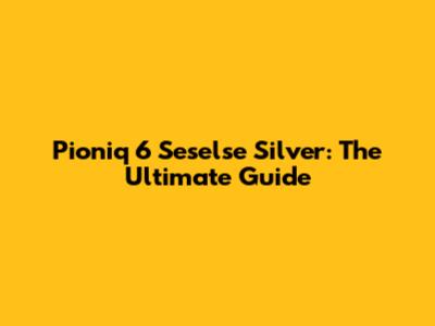 Pioniq 6 Seselse Silver: The Ultimate Guide