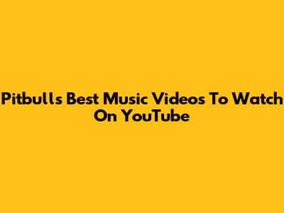 Pitbull's Best Music Videos To Watch On YouTube