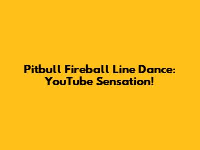 Pitbull Fireball Line Dance: YouTube Sensation!