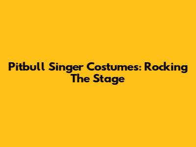 Pitbull Singer Costumes: Rocking The Stage
