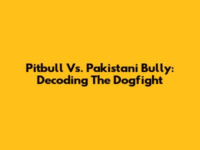 Pitbull Vs. Pakistani Bully: Decoding The Dogfight