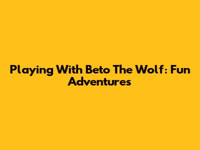 Playing With Beto The Wolf: Fun Adventures