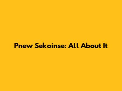 Pnew Sekoinse: All About It