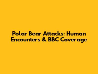 Polar Bear Attacks: Human Encounters & BBC Coverage