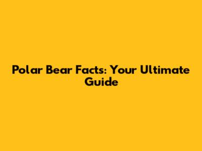 Polar Bear Facts: Your Ultimate Guide