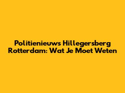 Politienieuws Hillegersberg Rotterdam: Wat Je Moet Weten