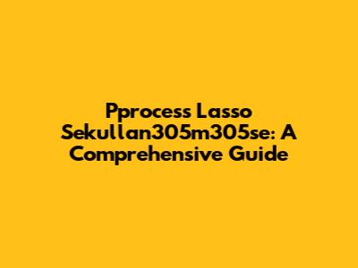 Pprocess Lasso Sekullan305m305se: A Comprehensive Guide