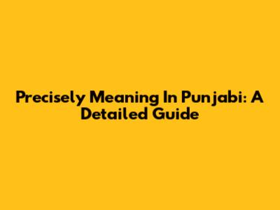 Precisely Meaning In Punjabi: A Detailed Guide