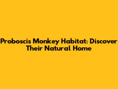 Proboscis Monkey Habitat: Discover Their Natural Home