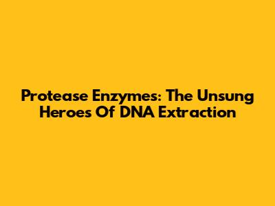 Protease Enzymes: The Unsung Heroes Of DNA Extraction