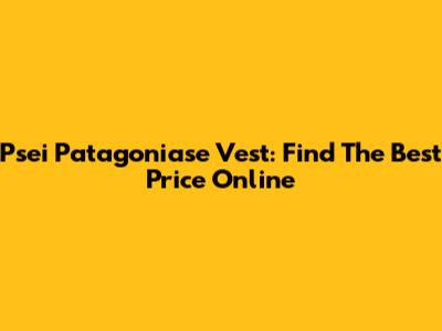 Psei Patagoniase Vest: Find The Best Price Online
