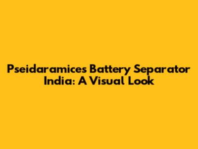 Pseidaramices Battery Separator India: A Visual Look