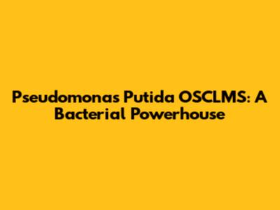 Pseudomonas Putida OSCLMS: A Bacterial Powerhouse