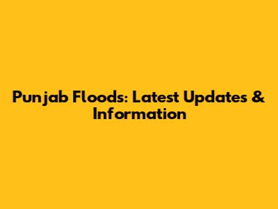 Punjab Floods: Latest Updates & Information