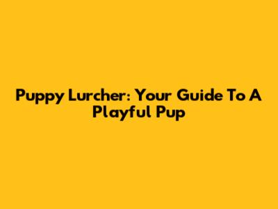 Puppy Lurcher: Your Guide To A Playful Pup