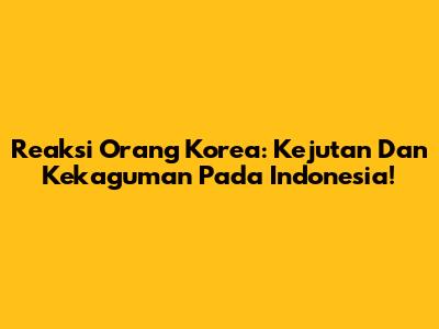 Reaksi Orang Korea: Kejutan Dan Kekaguman Pada Indonesia!