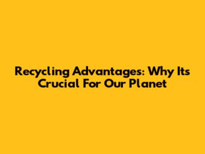 Recycling Advantages: Why It's Crucial For Our Planet