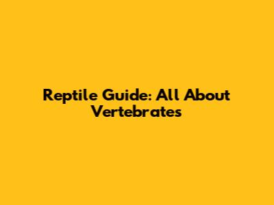 Reptile Guide: All About Vertebrates