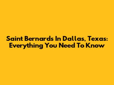 Saint Bernards In Dallas, Texas: Everything You Need To Know