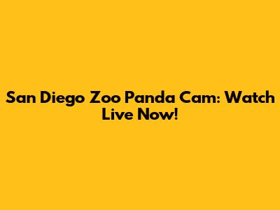 San Diego Zoo Panda Cam: Watch Live Now!