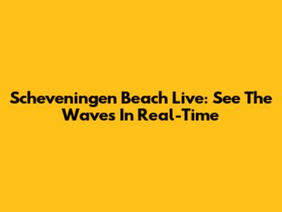 Scheveningen Beach Live: See The Waves In Real-Time