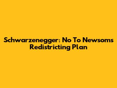 Schwarzenegger: No To Newsom's Redistricting Plan
