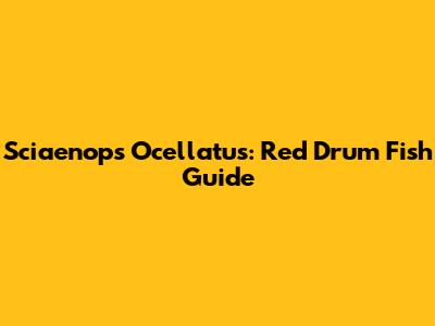 Sciaenops Ocellatus: Red Drum Fish Guide