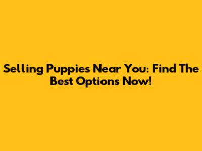Selling Puppies Near You: Find The Best Options Now!