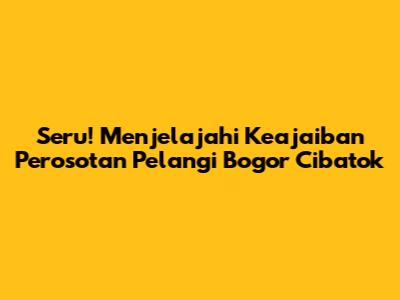 Seru! Menjelajahi Keajaiban Perosotan Pelangi Bogor Cibatok