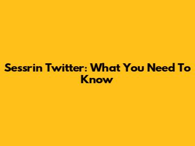 Sessrin Twitter: What You Need To Know