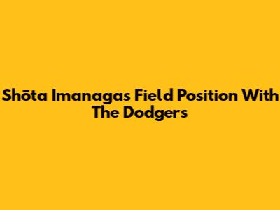 Shōta Imanaga's Field Position With The Dodgers