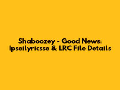 Shaboozey - Good News: Ipseilyricsse & LRC File Details