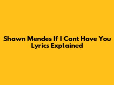 Shawn Mendes "If I Can't Have You" Lyrics Explained