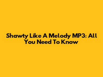 Shawty Like A Melody MP3: All You Need To Know