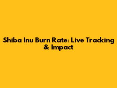 Shiba Inu Burn Rate: Live Tracking & Impact