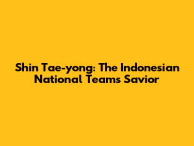 Shin Tae-yong: The Indonesian National Team's Savior