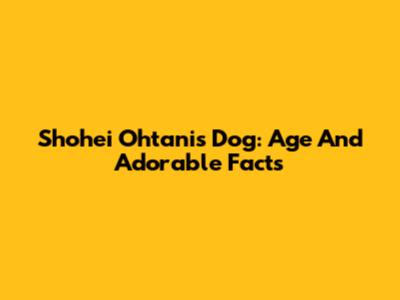 Shohei Ohtani's Dog: Age And Adorable Facts