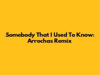 Somebody That I Used To Know: Arrocha's Remix