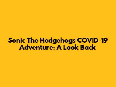 Sonic The Hedgehog's COVID-19 Adventure: A Look Back