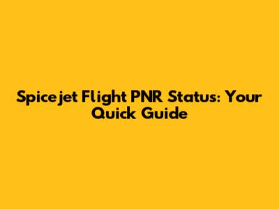 Spicejet Flight PNR Status: Your Quick Guide