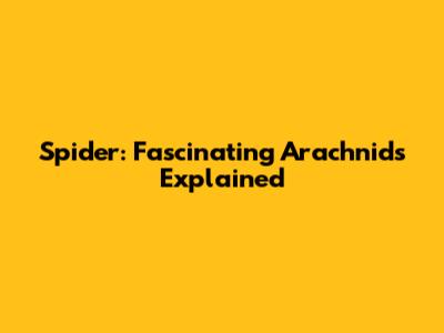 Spider: Fascinating Arachnids Explained