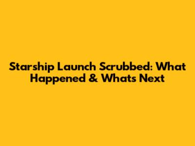 Starship Launch Scrubbed: What Happened & What's Next