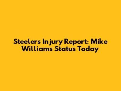Steelers Injury Report: Mike Williams Status Today
